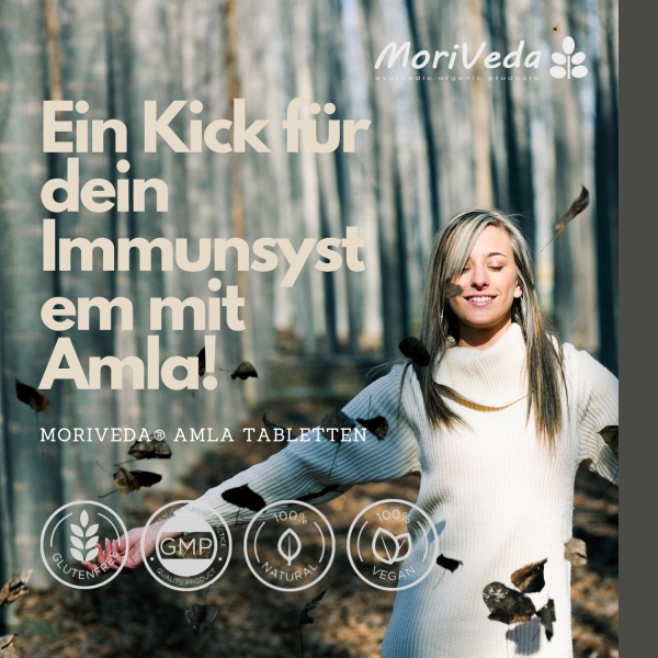 Amla Tabletten